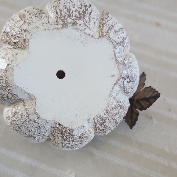 TAG Rustic Cream Pumpkin Decor - Picture 4 of 6